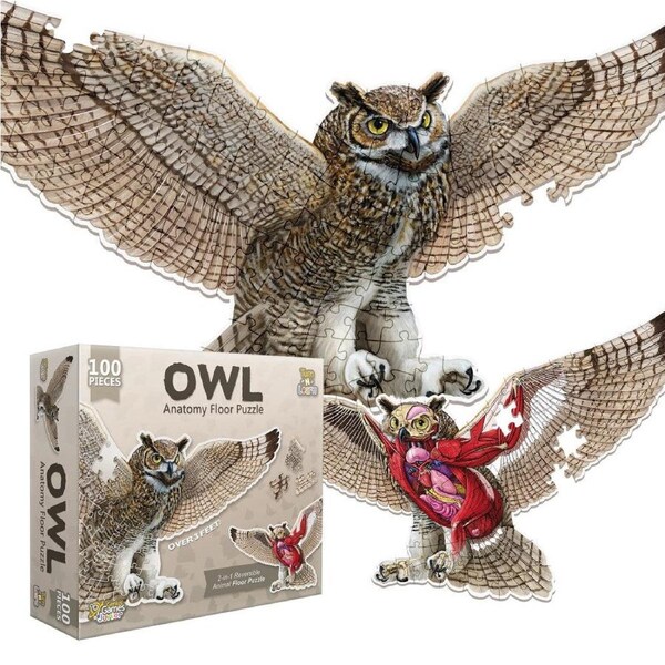 Anatomy Floor Puzzle: Owl