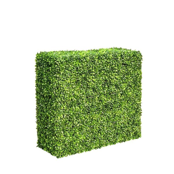 Mixed Boxwood Hedge UV Resistant 75cm Long X 75cm High