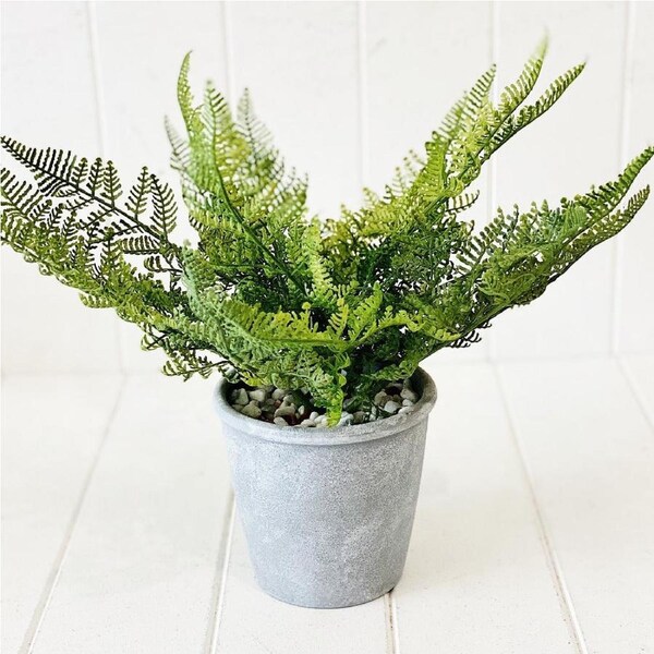 Artificial Fern in Cement Pot