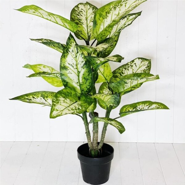 Artificial Potted Dumb Cane - 93cm