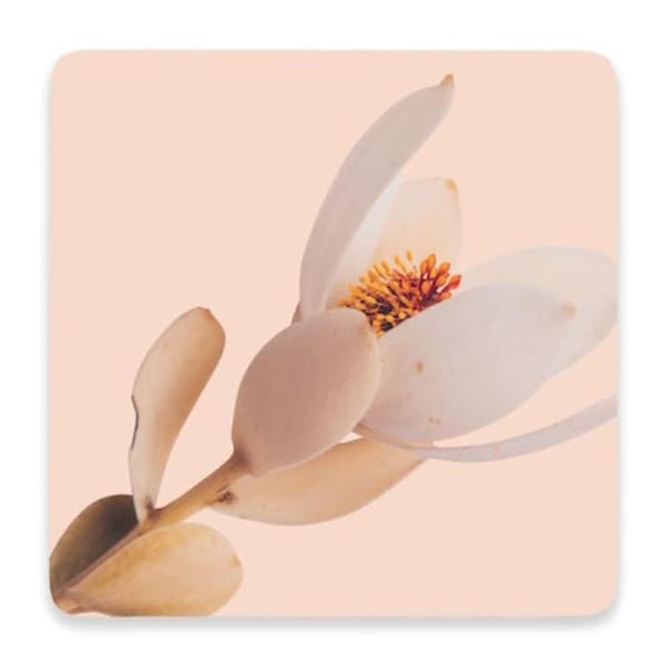 Flourish Ceramic Coaster - Pink Flower