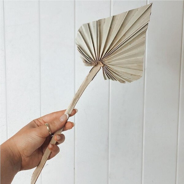 Single Spade Natural Dried Palm