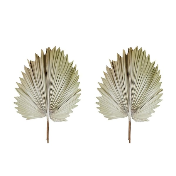 2x Belle Preserved Palm Leaf 89cm Dried Plant Home/Room Garden Decor Small Cream