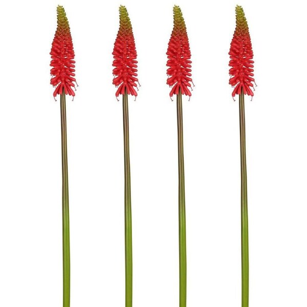 4x Belle Red Hot Poker Stem 69cm Plastic Artificial Fake/Faux Plant Home Decor