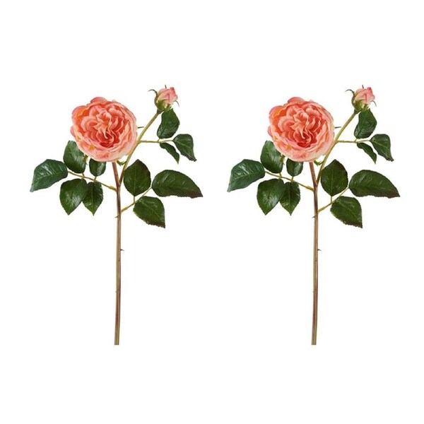2x Belle Cabbage Real Touch Rose Stem 49cm Artificial Flower Fake Plant Coral