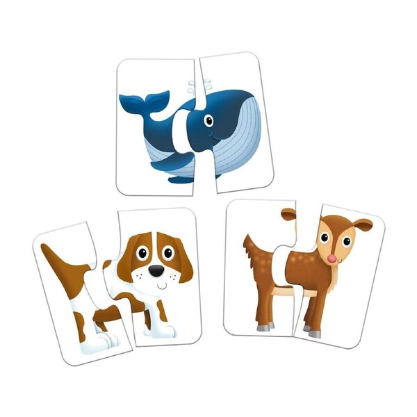 Learning Journey My First Match It Heads and Tails