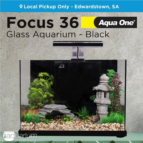 Aqua One Focus 36 Glass Aquarium Black (56223BK)