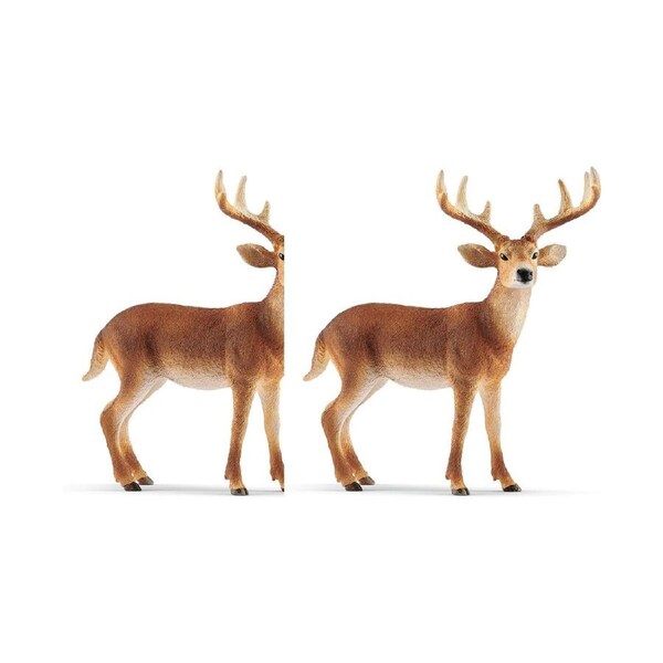2x Schleich Kids/Childrens Toy Play Replica Figurine White-Tailed Buck 3y+