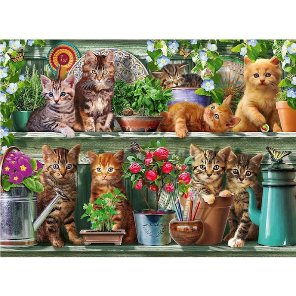500pc Ravensburger Cats on the Shelf Themed Family Jigsaw Puzzle Pieces Set