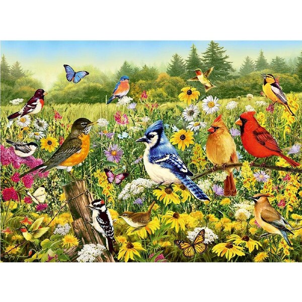 500pc Ravensburger Birds in the Meadow Family Jigsaw Puzzle Pieces Set