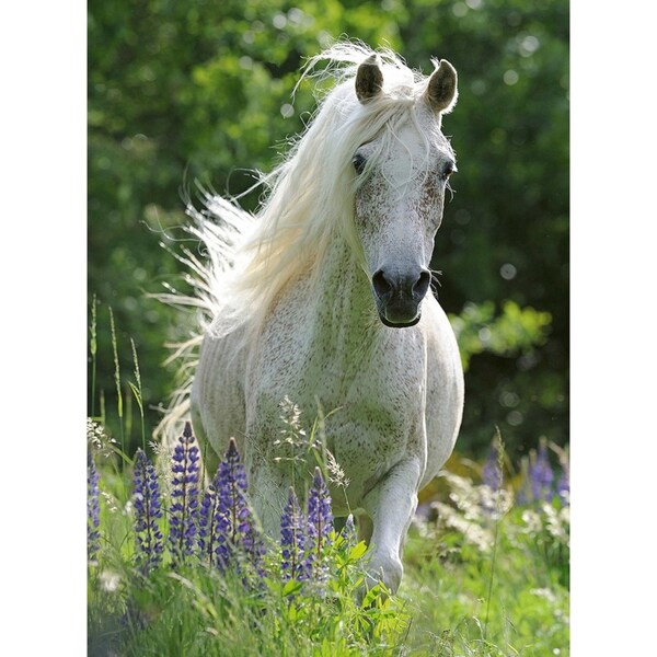 100pc Ravensburger Horse in Flowers Jigsaw Kids/Childrens Puzzle Pieces Set 6Y+