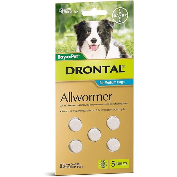 Drontal Allwormer For Dogs Medium 3-10kg 5 Chews