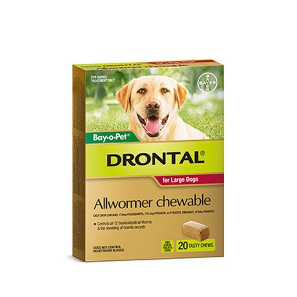 Drontal All-Wormer For Large Dogs To 35kg - 2 Chews