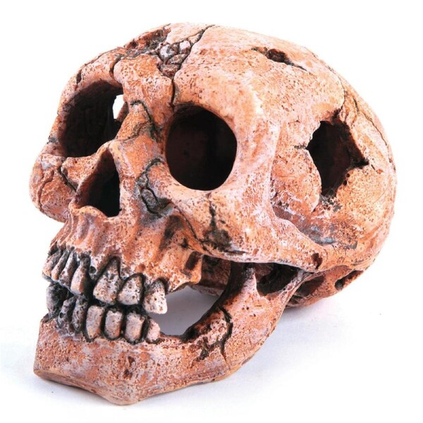 Kazoo Deep Sea Skull (18855)