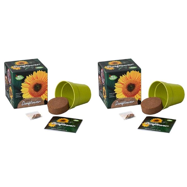 2x Mrs Green Grow YourOwn Giant Sunflower Children Activity Growing Plant Kit