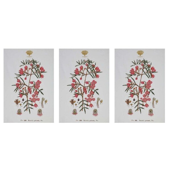 3x Maxwell & Williams Royal Botanic Garden Cotton Tea Towel Dish Cloth Boronia