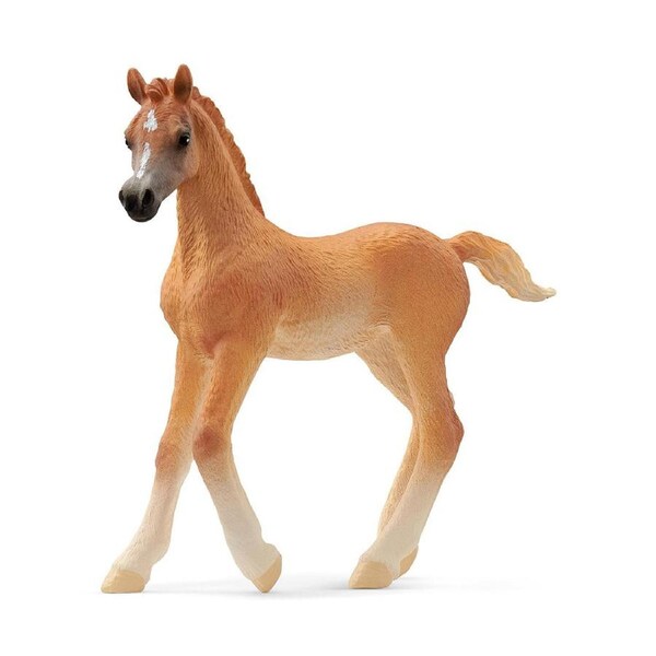 Schleich 3.1'' Arab Foal Horse Animal Action Figure Kids/Children Play Toy 3-8y