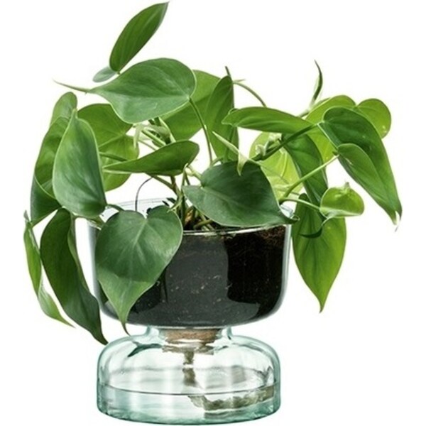 LSA International Canopy Enclosed Garden Self Watering Planter Vase 13x14.5cm