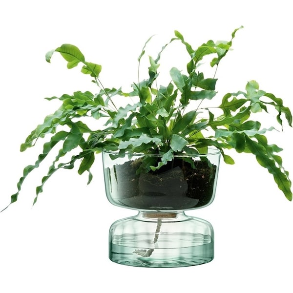 LSA International Canopy Enclosed Garden Self Watering Planter Vase 22 x 24cm