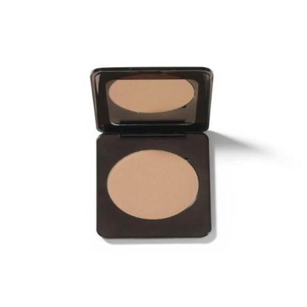Runway Room Brosh Pan Only Shade Light 14G