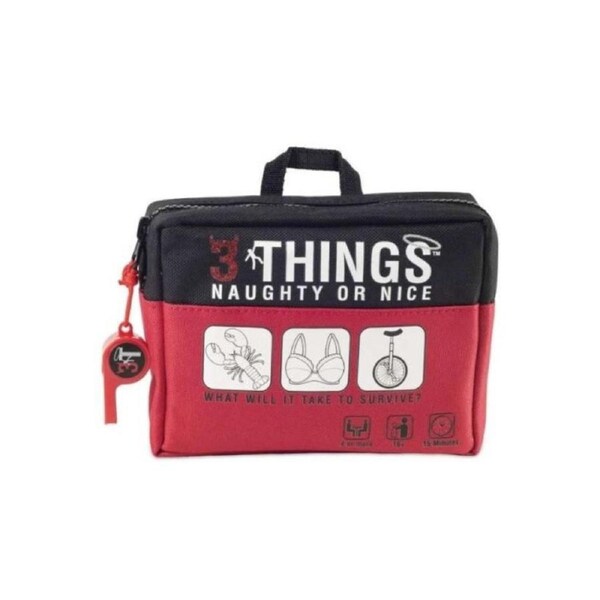 Shenanigames 3 Things Naughty Or Nice Edition 4-Players Party Game Set 16y+