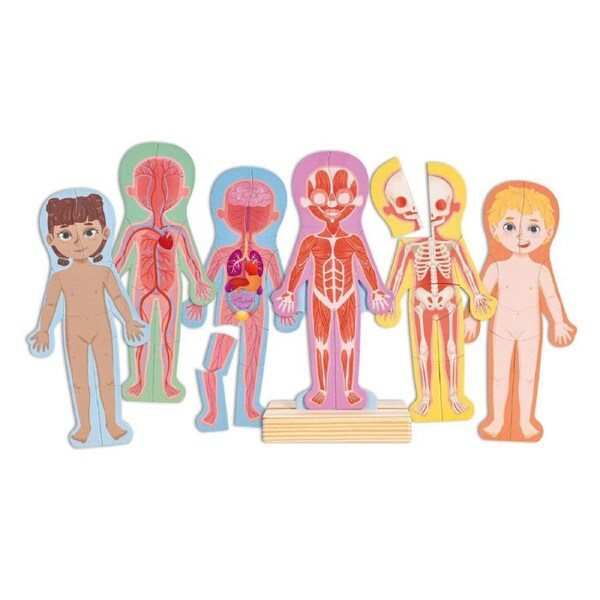 Hape Human Body Magnetic Puzzle Educational Learning Toy for Kids/Child 3Y+