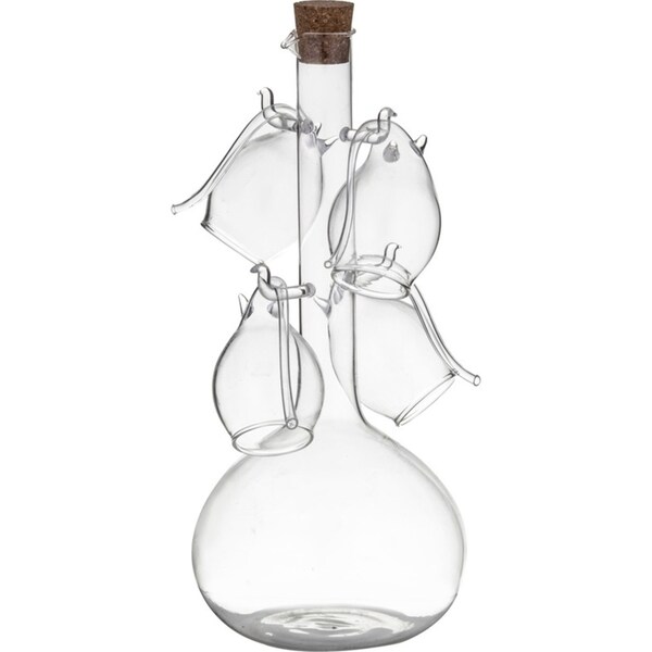 5pc Davis & Waddell Fine Foods Port Flask/Sippers Set Flask 60ml/800ml Clear