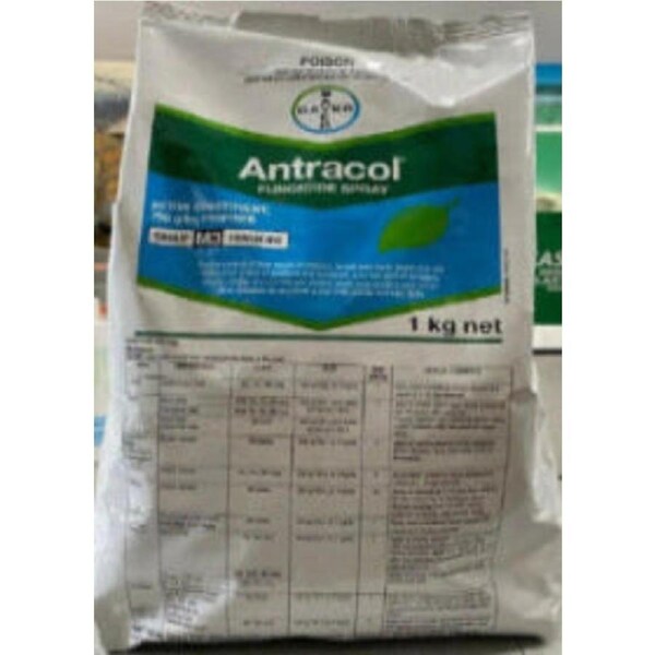 Bayer ANTRACOL Fungicide Spray 1kg