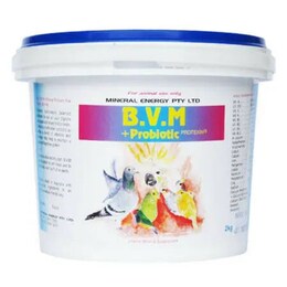Bvm 2kg