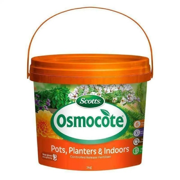 Scotts Osmocote 2kg