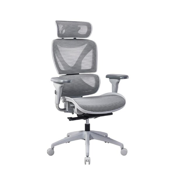 Lucille Ergonomic Adjustable High Back Office Chair