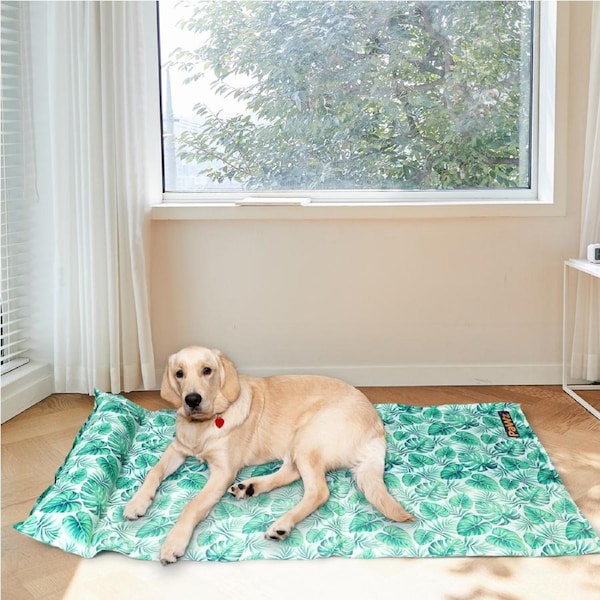 Pawz Pet Cooling Mat Dog Cat Gel Non-Toxic Bed Pillow Sofa Self-cool Summer Pad Green / S(75cm x 50cm x 10cm)