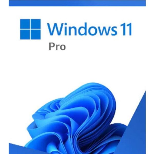 Microsoft Windows 11 Professional Retail 64-bit USB Flash Drive HAV-00163