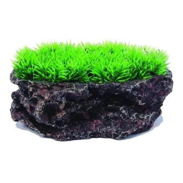 Aquatopia Flat Rock w/ Plant Ornament (AQT62330)