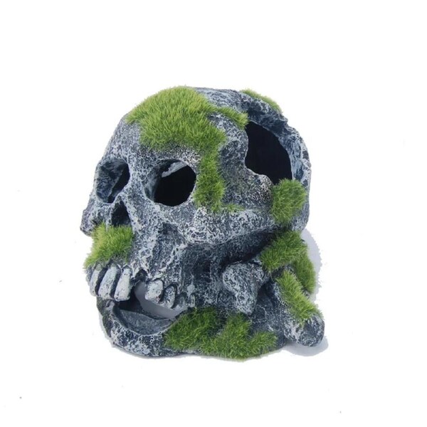 Aquatopia Skull With Moss Ornament (AQT63481)