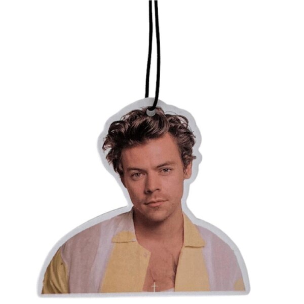Harry Styles Watermelon Car Air Freshener