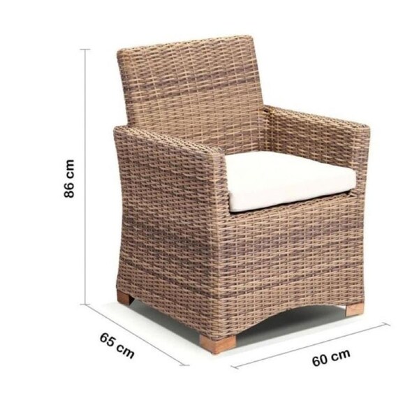 Coco Outdoor Wicker and Teak Dining Arm Chair - Outdoor Wicker Chairs