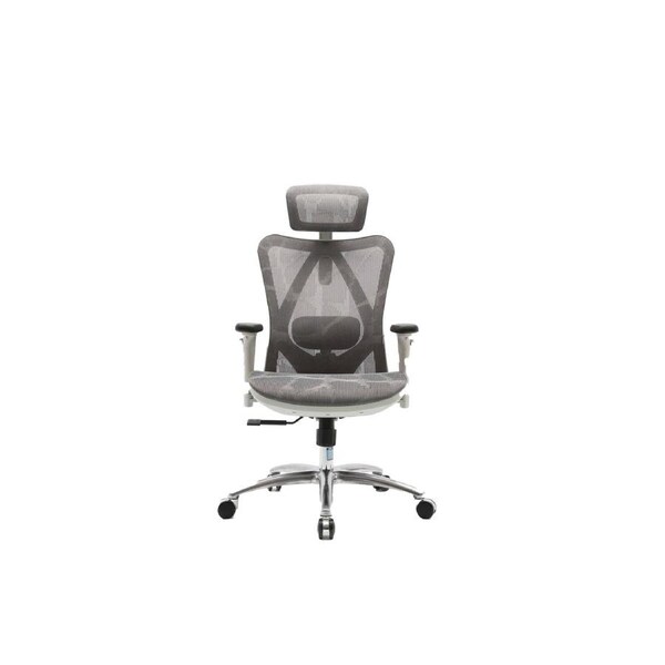 Sihoo M57 Ergonomic Office Chair Grey Frame with Grey Mesh