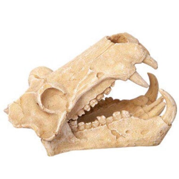 Aqua One Hippo Skull Ornament 11x18.5x13cm (37486)