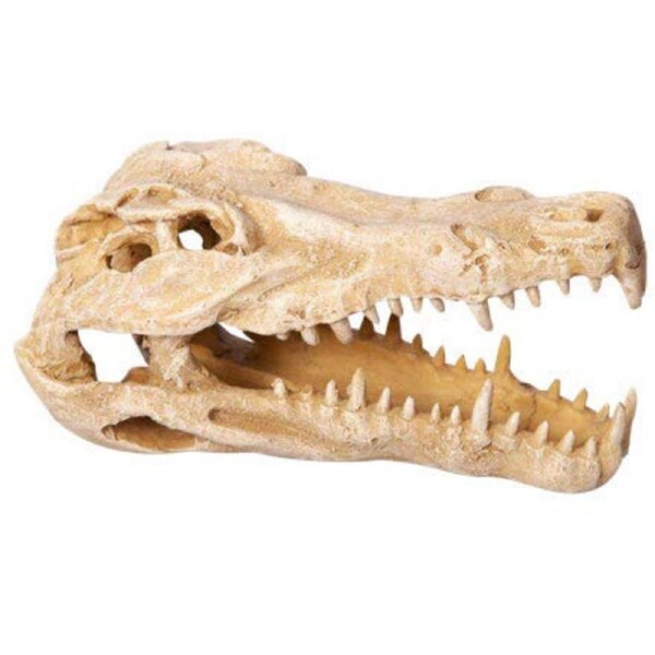 Aqua One Crocodile Skull Ornament 11x23x14cm (37485)