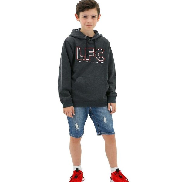 Liverpool FC Youth Boys Hoodie Jumper LFC Anfield Hoody - Grey 8