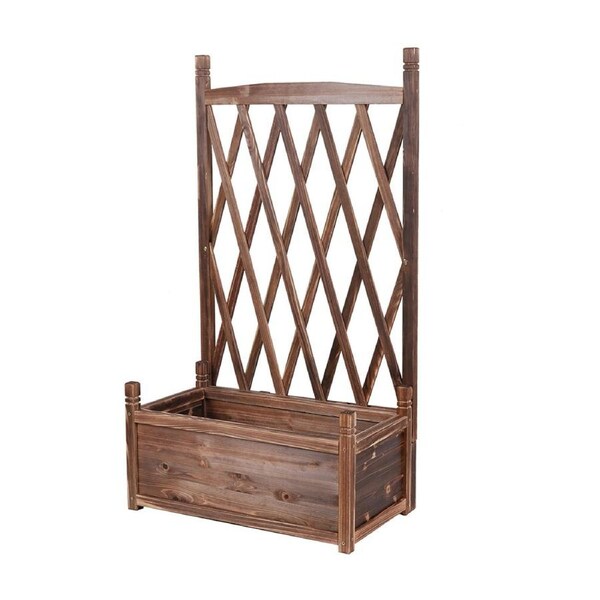 Enchanting Trellis Planter: Ideal for Cultivating Climbing Plants, Flowers, and Vegetables