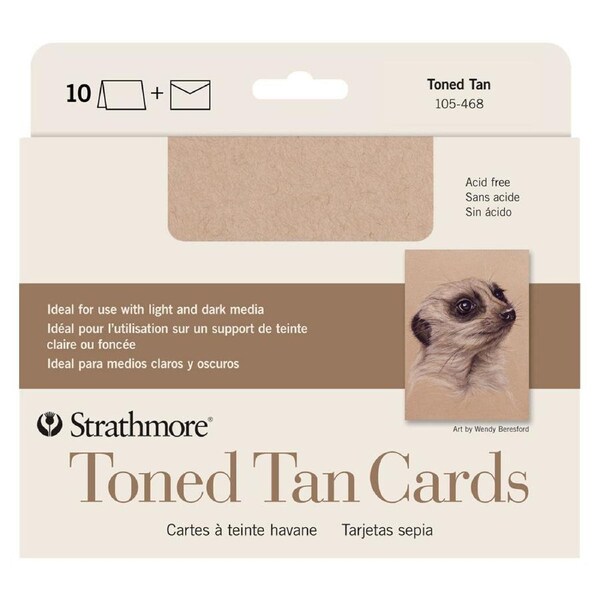 10pc Strathmore 400 Series Toned Arts And Craft Drawing Cards + Envelopes Tan