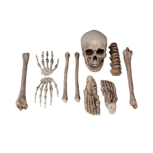 Bag o Bones 10 Piece Set