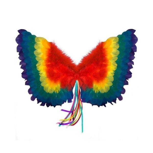Rainbow Wings