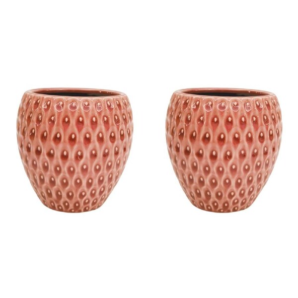 2x Urban Strawberry Planter Pink 12cm Home Decorative Outdoor Garden Decor