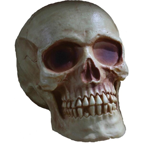 Full Jaw Skull Prop 20cm