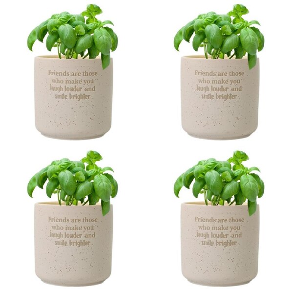 4x Splosh Friends Positive 10cm Small Ceramic Pot Home/Office Room Decor Beige