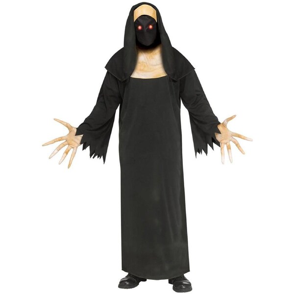 Fading Wicked Sister Adult Costume