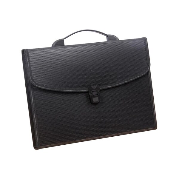 Expansion file, portable pocket expandable file folder with label